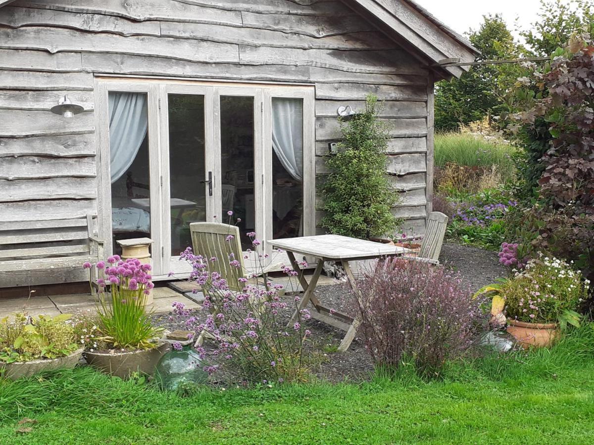 Three Oaks Nursery Chichester Dış mekan fotoğraf